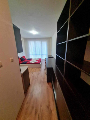 Studio w Świętym Własie 