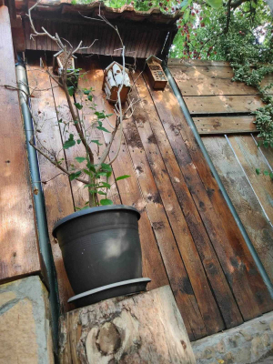 Dom w miejscowości Dobri Dol, region Płowdiw, 